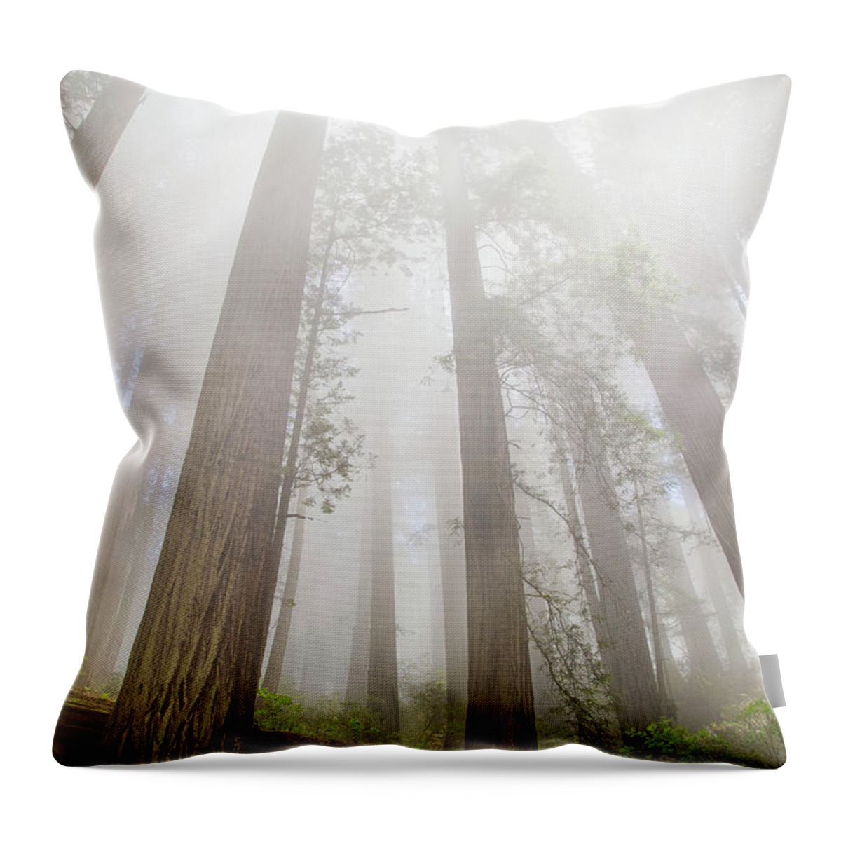 Redwoods Fog Throw Pillow featuring the photograph Fog in the redwoods by Kunal Mehra