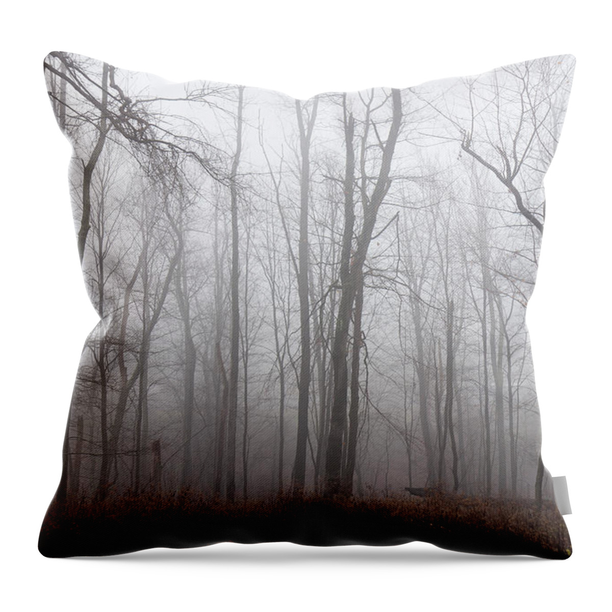 Cool Attitude Throw Pillow featuring the photograph Foggy Woods by Njw1224