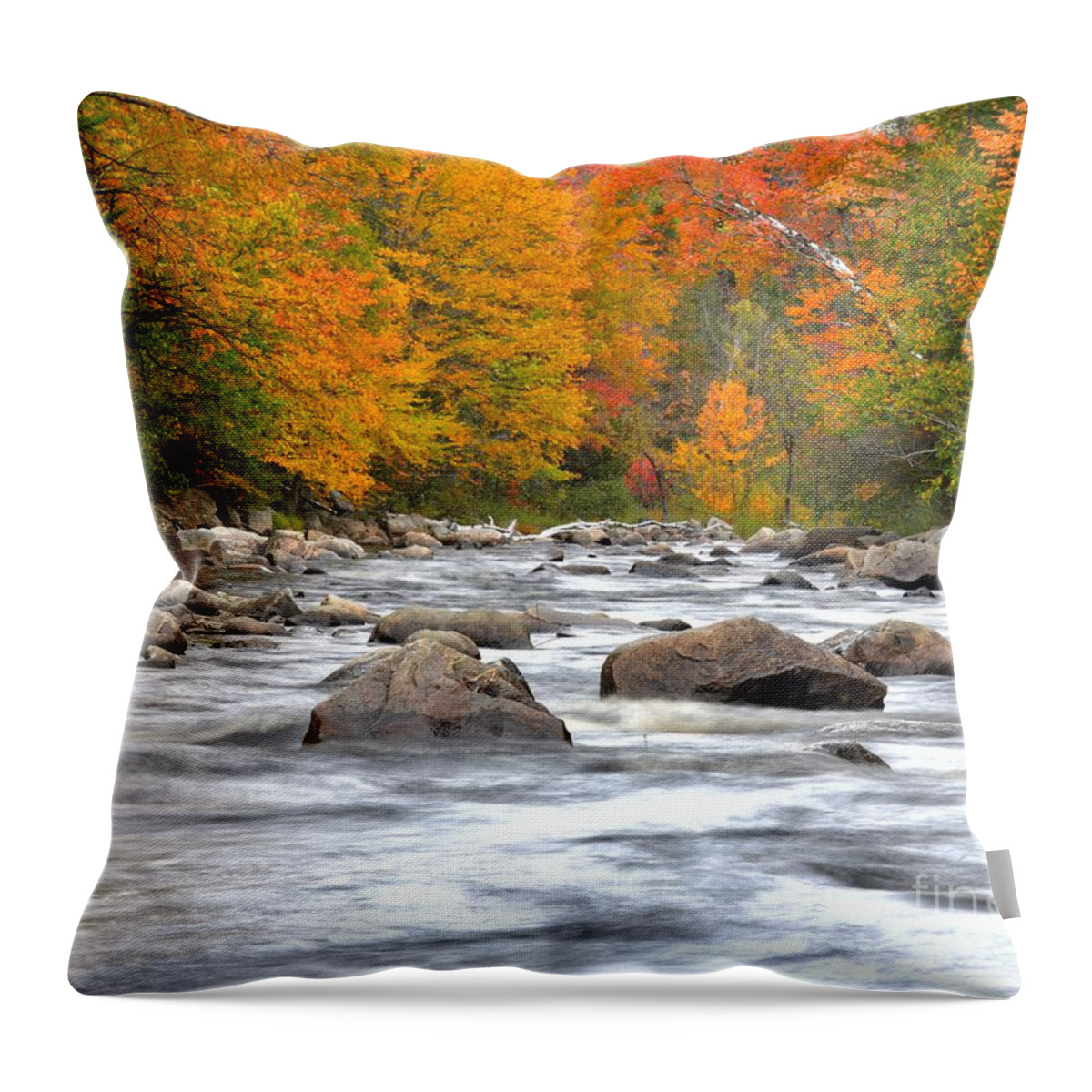 Vermont Throw Pillow featuring the photograph Foliage Along the River by Steve Brown