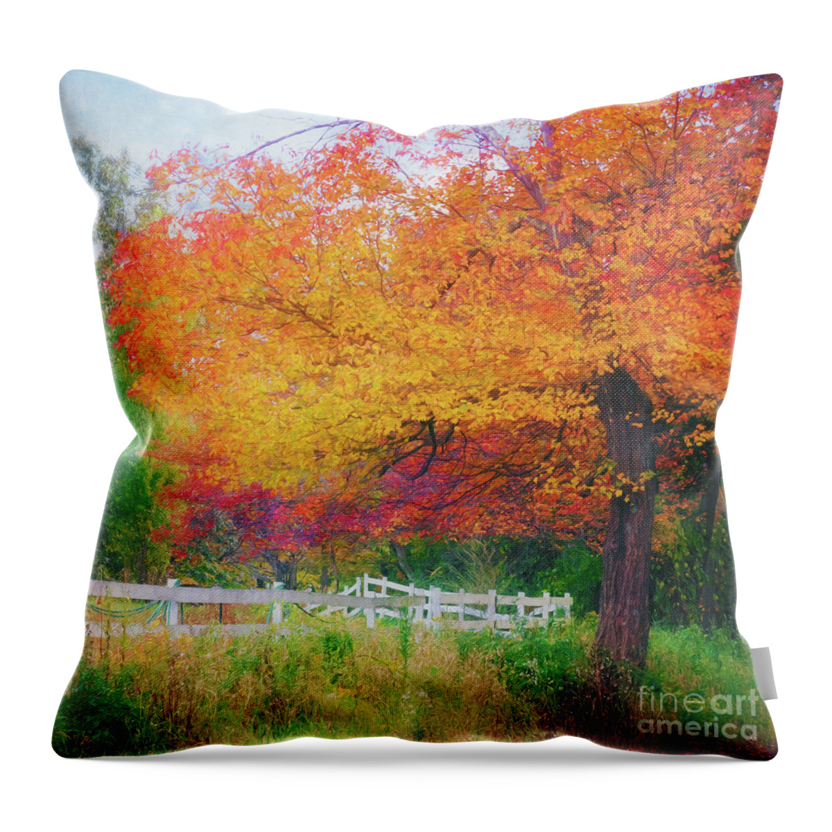 Fall Foliage Throw Pillow featuring the photograph Foliage by the Farm by Anita Pollak