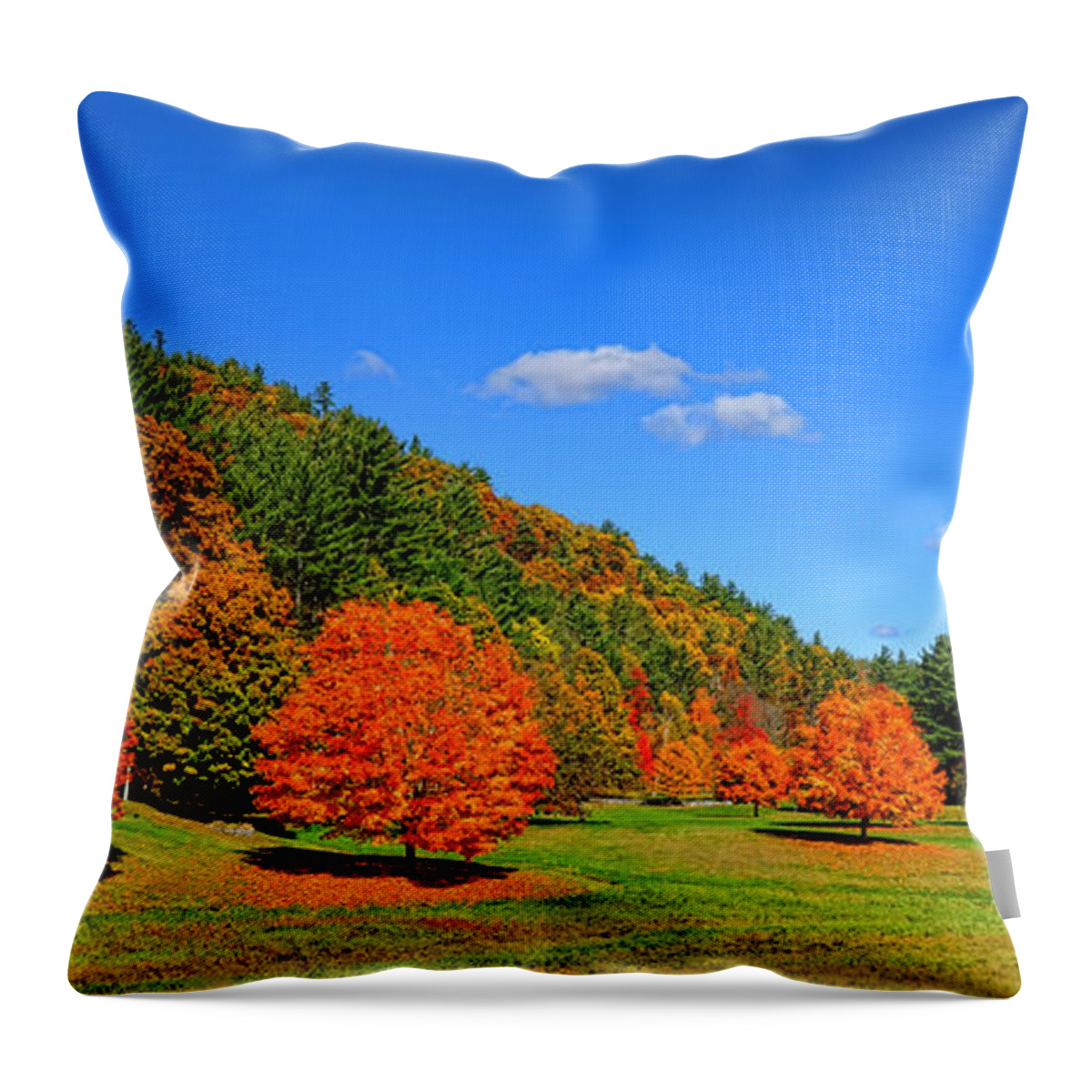 Maple Throw Pillow featuring the photograph Foliage Extravaganza by Olivier Le Queinec