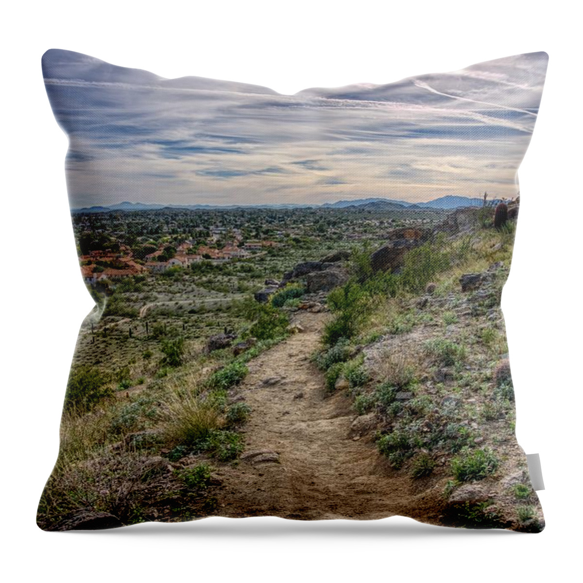 Sunsets Throw Pillow featuring the photograph Following The Desert Path by Anthony Giammarino