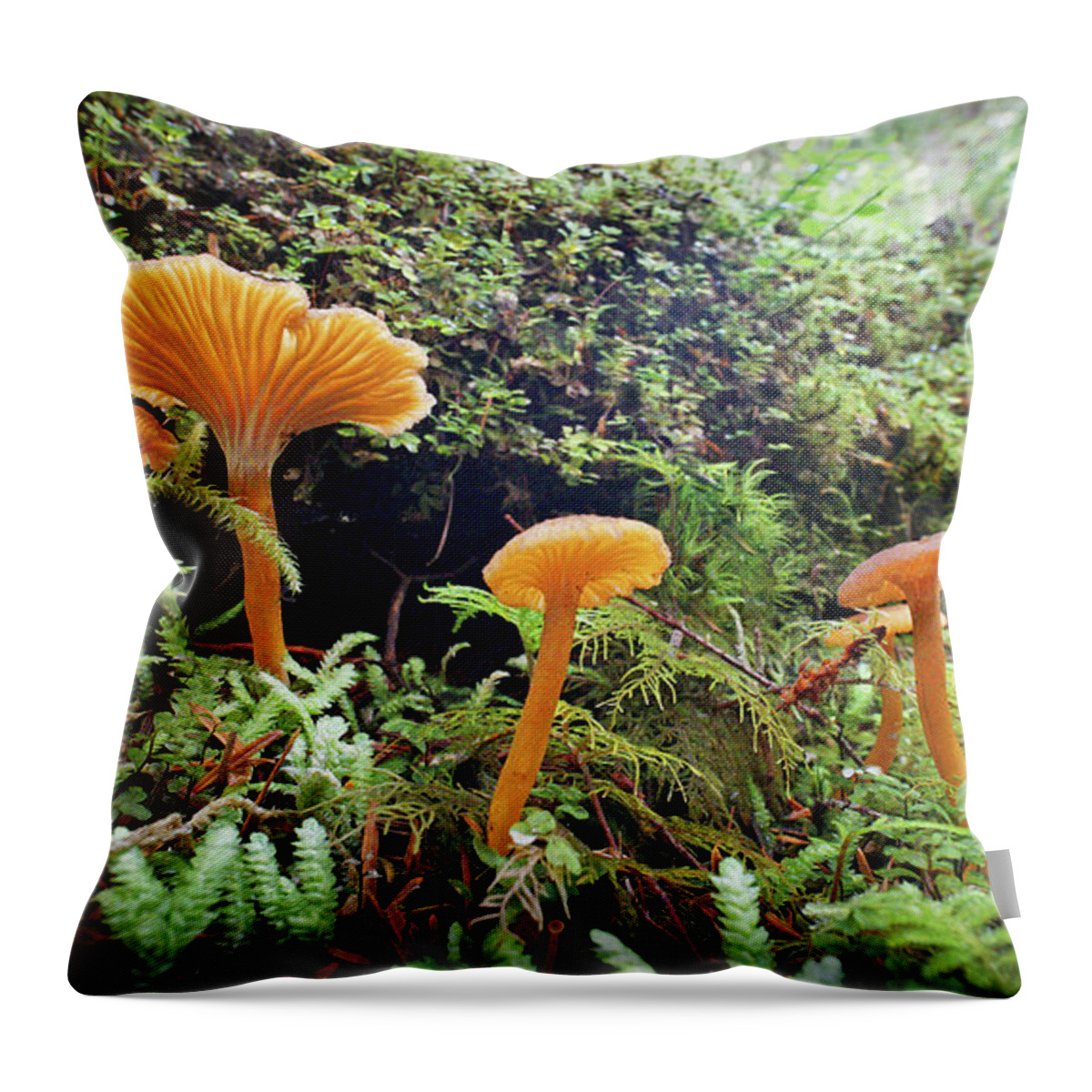 Earth Throw Pillow featuring the photograph Forest Fungi by Martin Konopacki