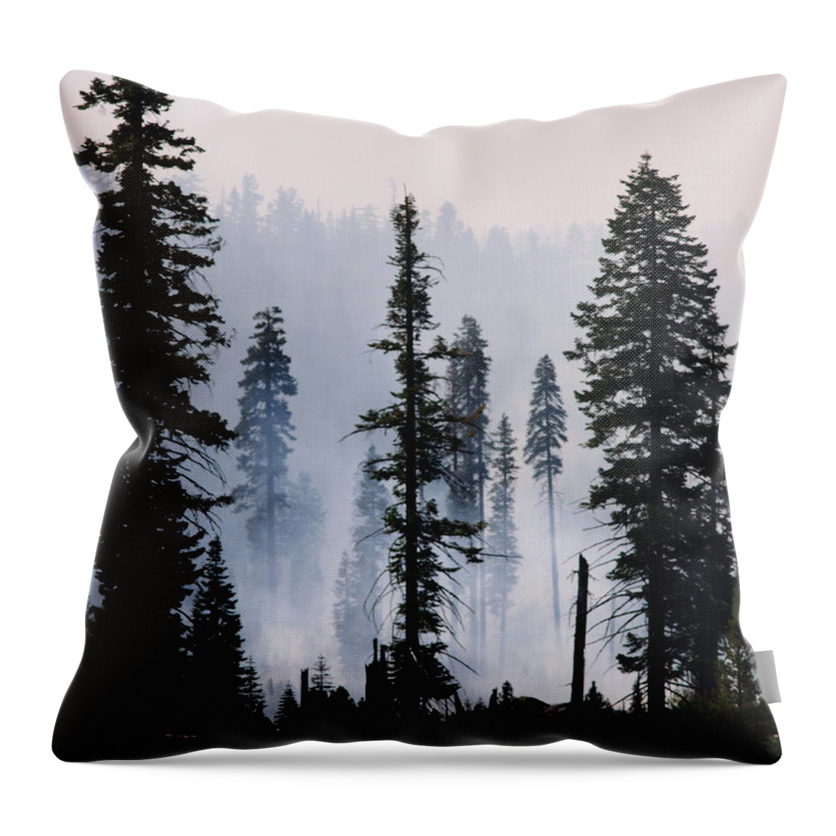 Environmental Conservation Throw Pillow featuring the photograph Forest Management Burn In Yosemite by Wirehead Arts