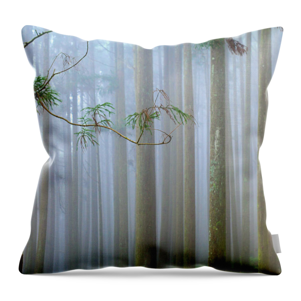 Tranquility Throw Pillow featuring the photograph Forest Mist by Higrace Photo