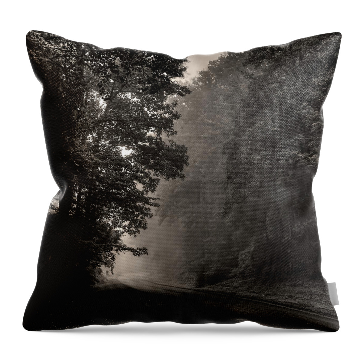 Tranquility Throw Pillow featuring the photograph Forest Path by Maria Jaeger Photography