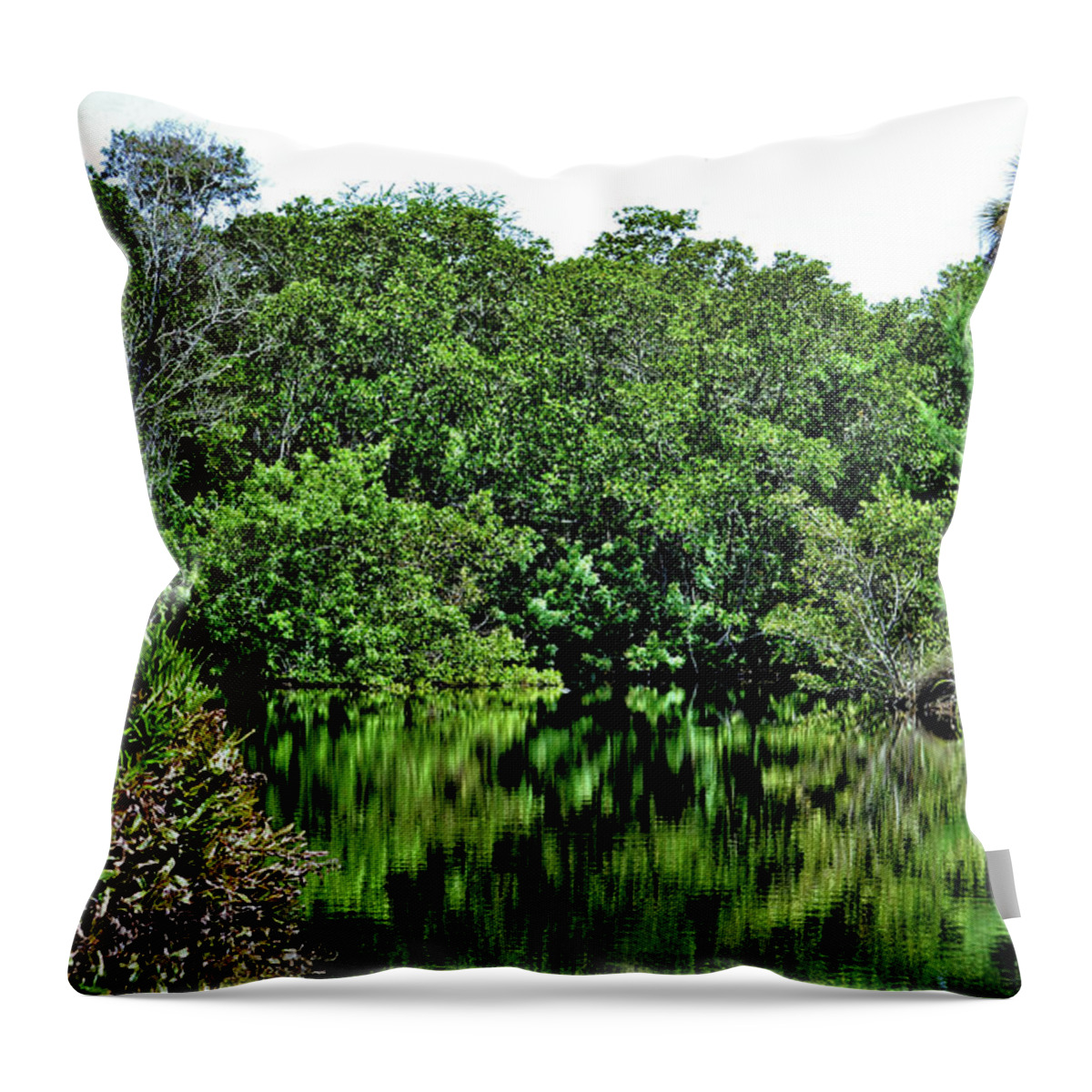 Trees Throw Pillow featuring the photograph Forest Reflection by Debra Kewley