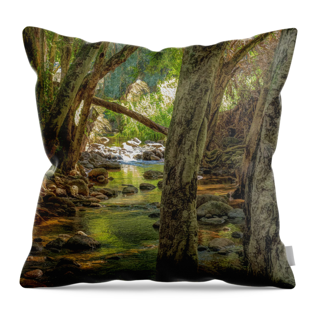 Hawaii Throw Pillow featuring the photograph Forever Flowing Rainwater by G Lamar Yancy