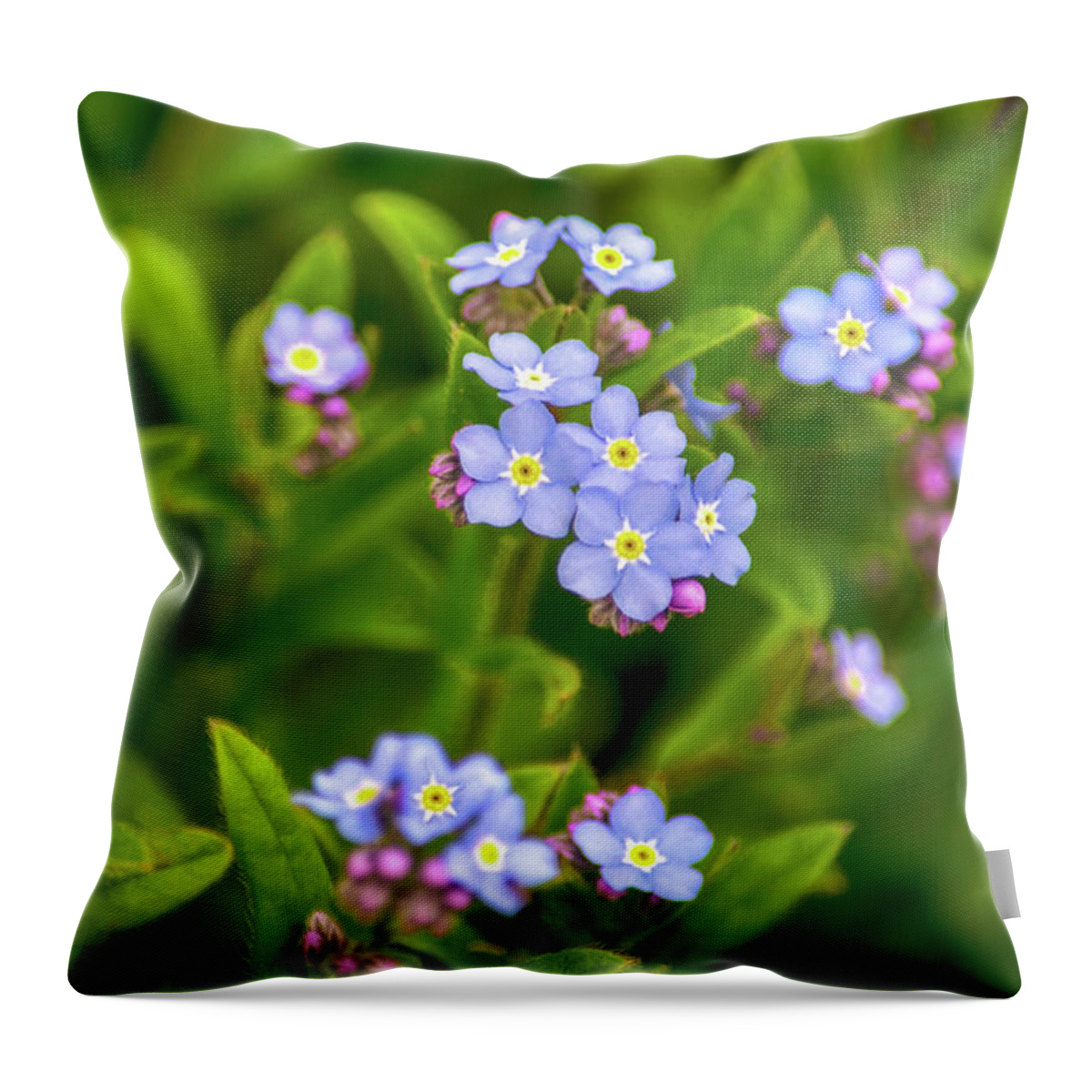 Flowers Throw Pillow featuring the photograph Forget Me Nots by Christina Rollo
