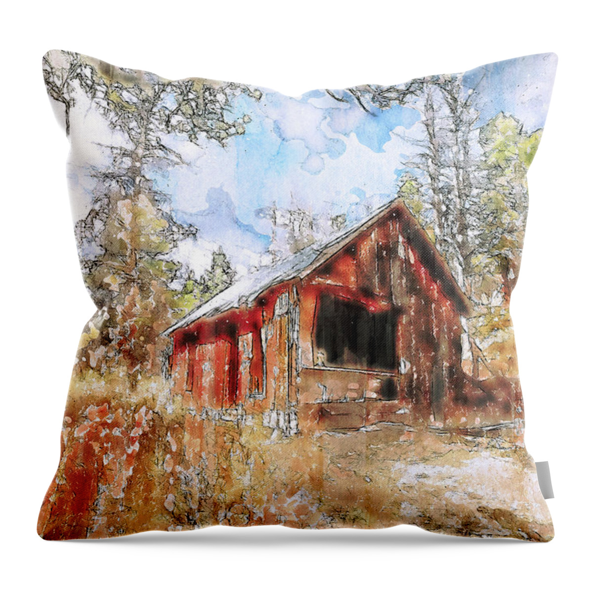 Cabin Throw Pillow featuring the photograph Forgotten Cabin by Jennifer Grossnickle