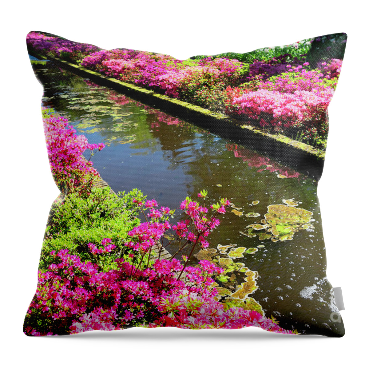 Garden Throw Pillow featuring the photograph Pink Rododendron Flowers by Anastasy Yarmolovich