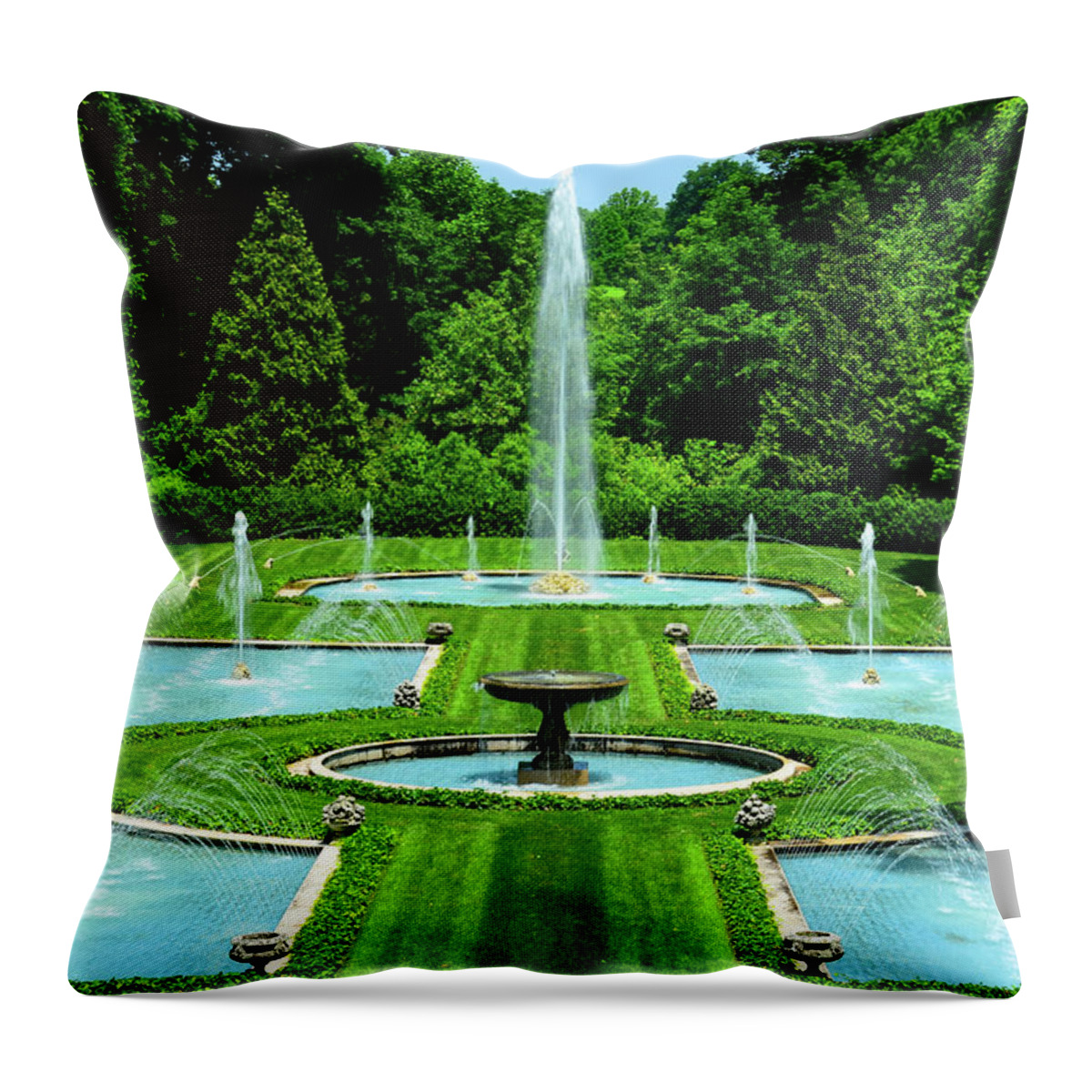 Fountains Throw Pillow featuring the photograph Fountains by Crystal Wightman