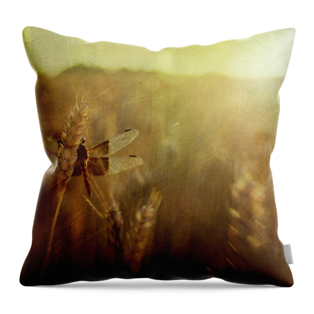 North Carolina Throw Pillow featuring the photograph Fragile Threads by Dawn D. Hanna