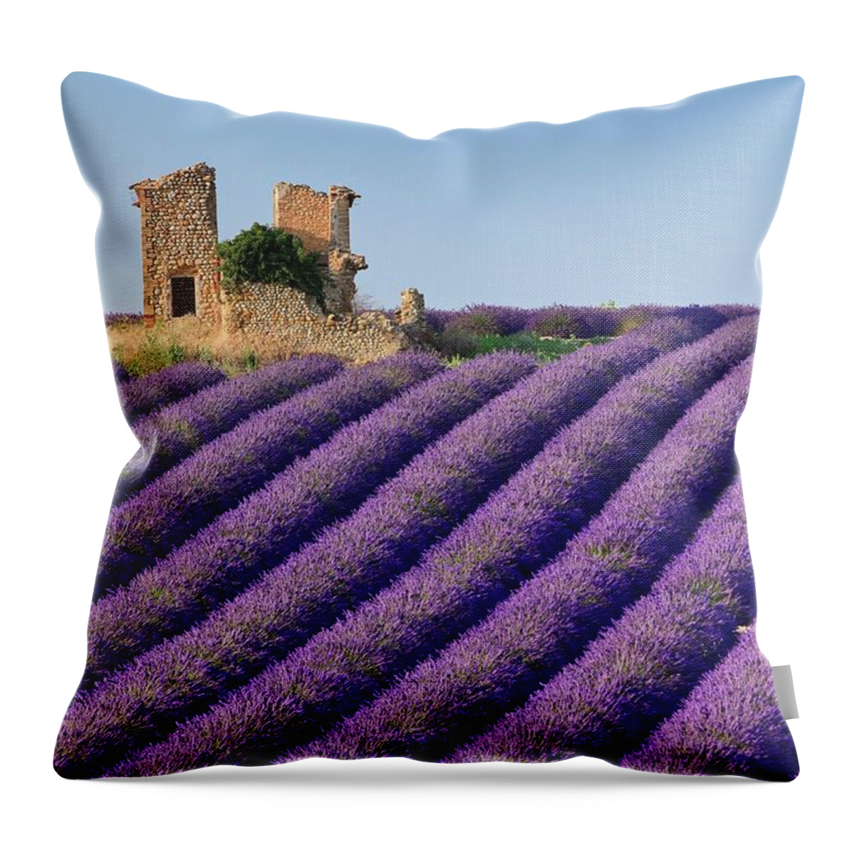 Estock Throw Pillow featuring the digital art France, Provence-alpes-cote D'azur, Provence, Valensole, Lavender Field With Old Ruin Near Valensole by Luigi Vaccarella