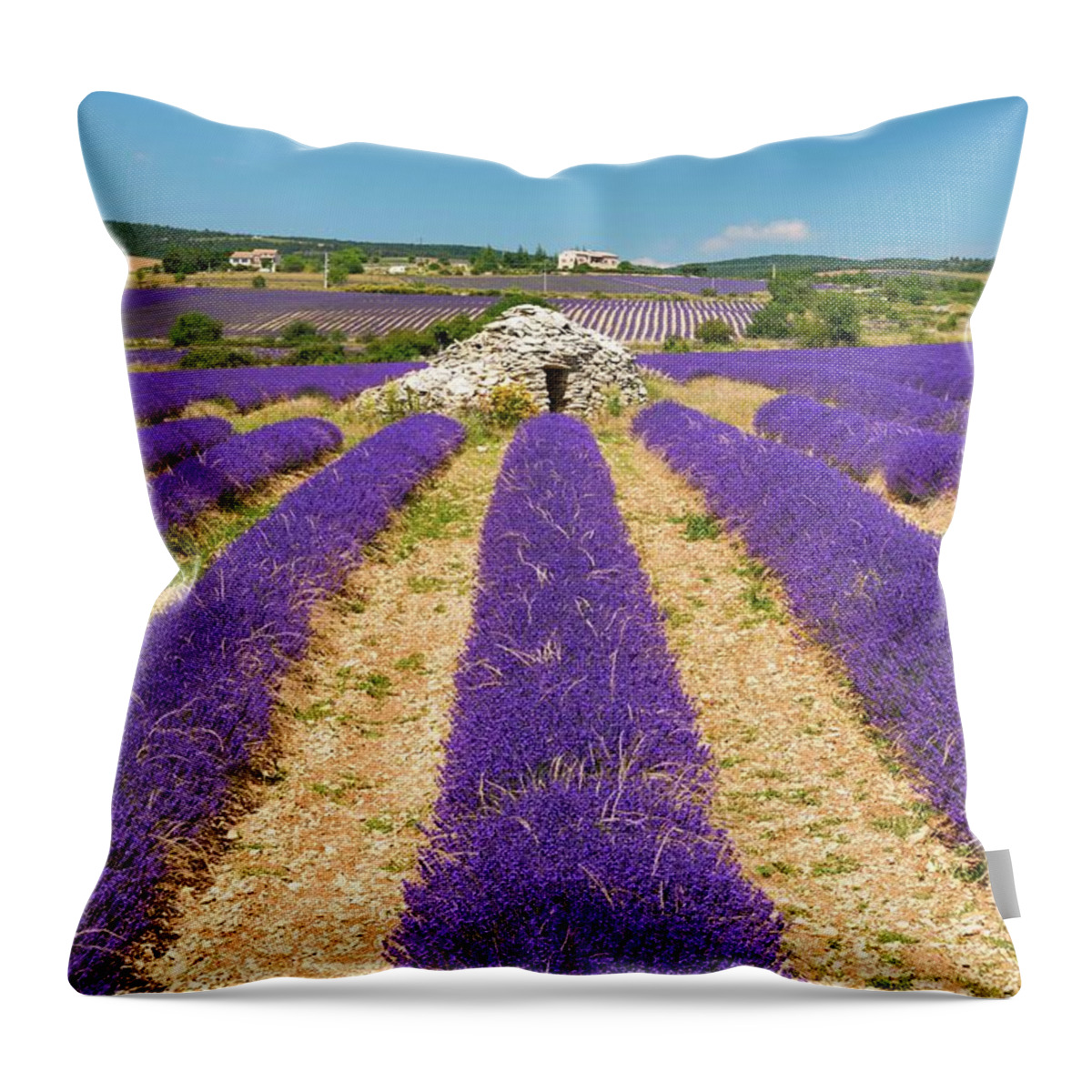 Estock Throw Pillow featuring the digital art France, Provence-alpes-cote D'azur, Sault, Lavender Field by Jordan Banks