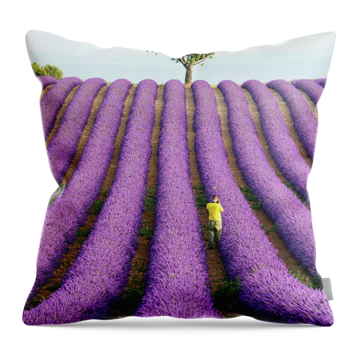 Estock Throw Pillow featuring the digital art France, Provence-alpes-cote D'azur, Valensole, Man Taking A Picture In A Lavender Field On The Plateau by Jordan Banks