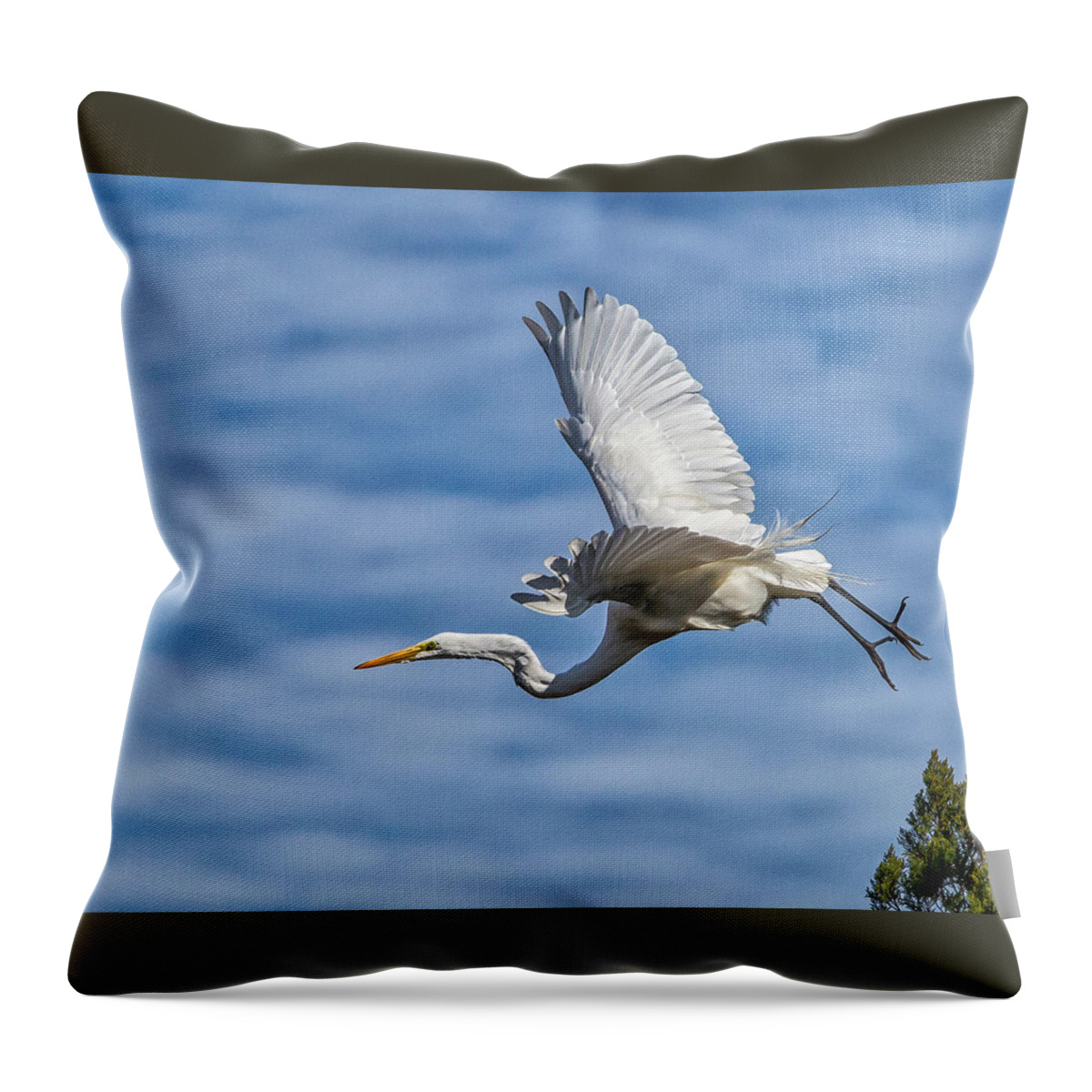 Skidaway Island Throw Pillow featuring the photograph Freestyle by Ray Silva