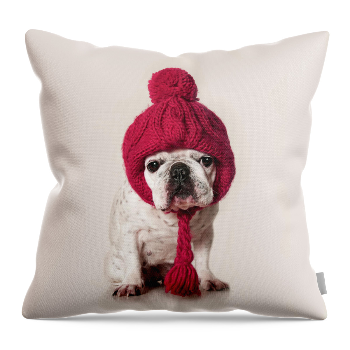 Pets Throw Pillow featuring the photograph French Bulldog by Retales Botijero