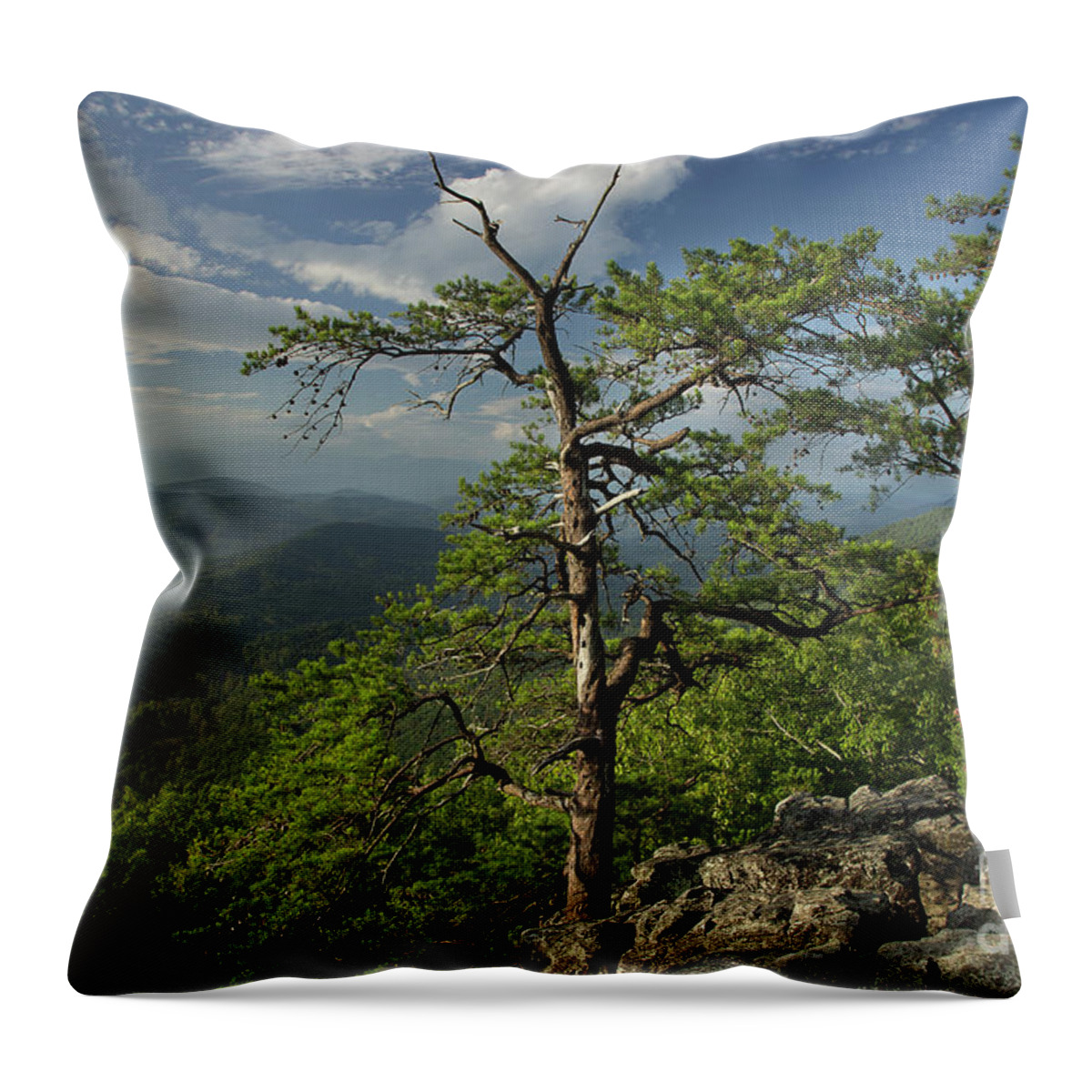 Sunrise Throw Pillow featuring the photograph Fresh Mountain Morning by Mike Eingle
