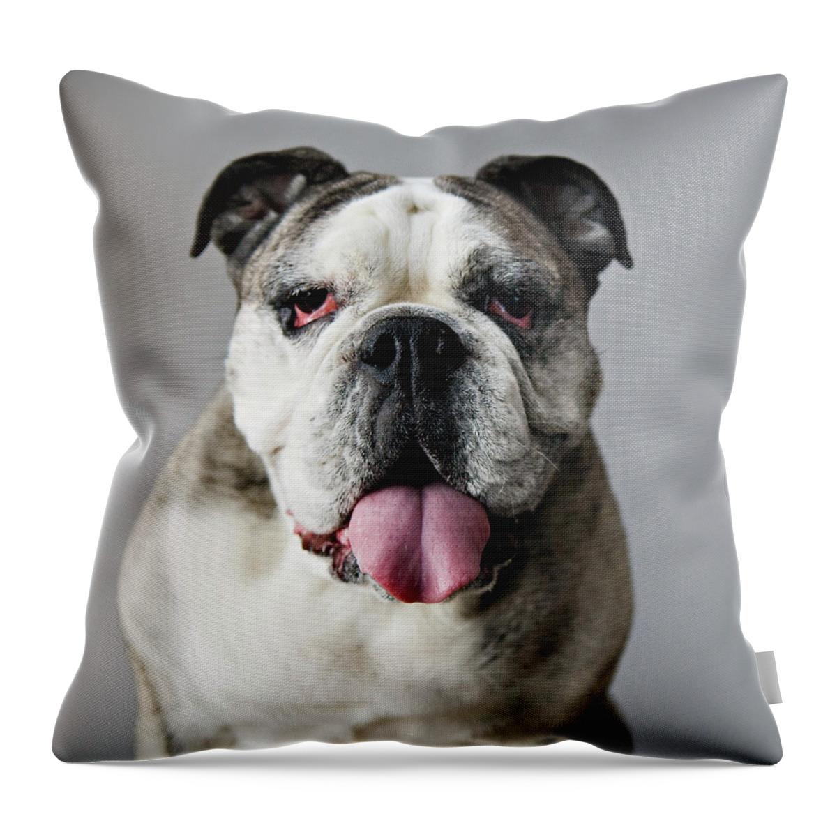 Pets Throw Pillow featuring the photograph Frida by Laura Layera