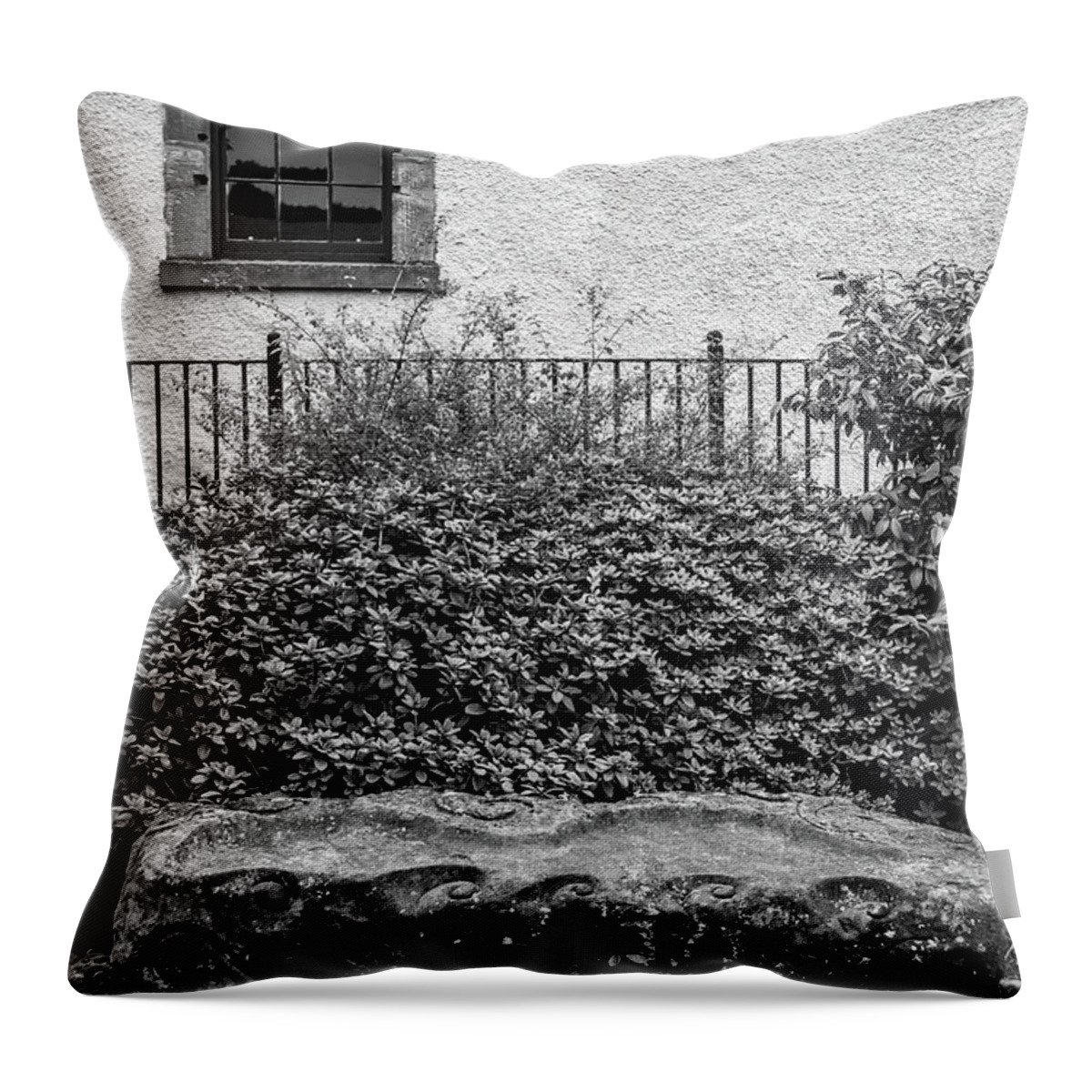 Friends Throw Pillow featuring the photograph Friends are Like Windows Through Which You See Out into the World and Back into Yourself by Susie Weaver