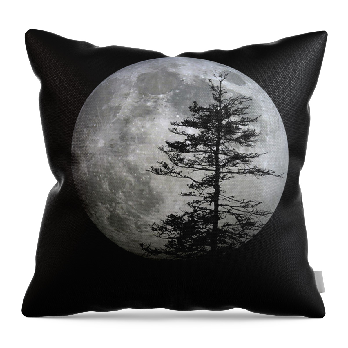 Full Throw Pillow featuring the photograph Friends in the Dark by Betsy Knapp