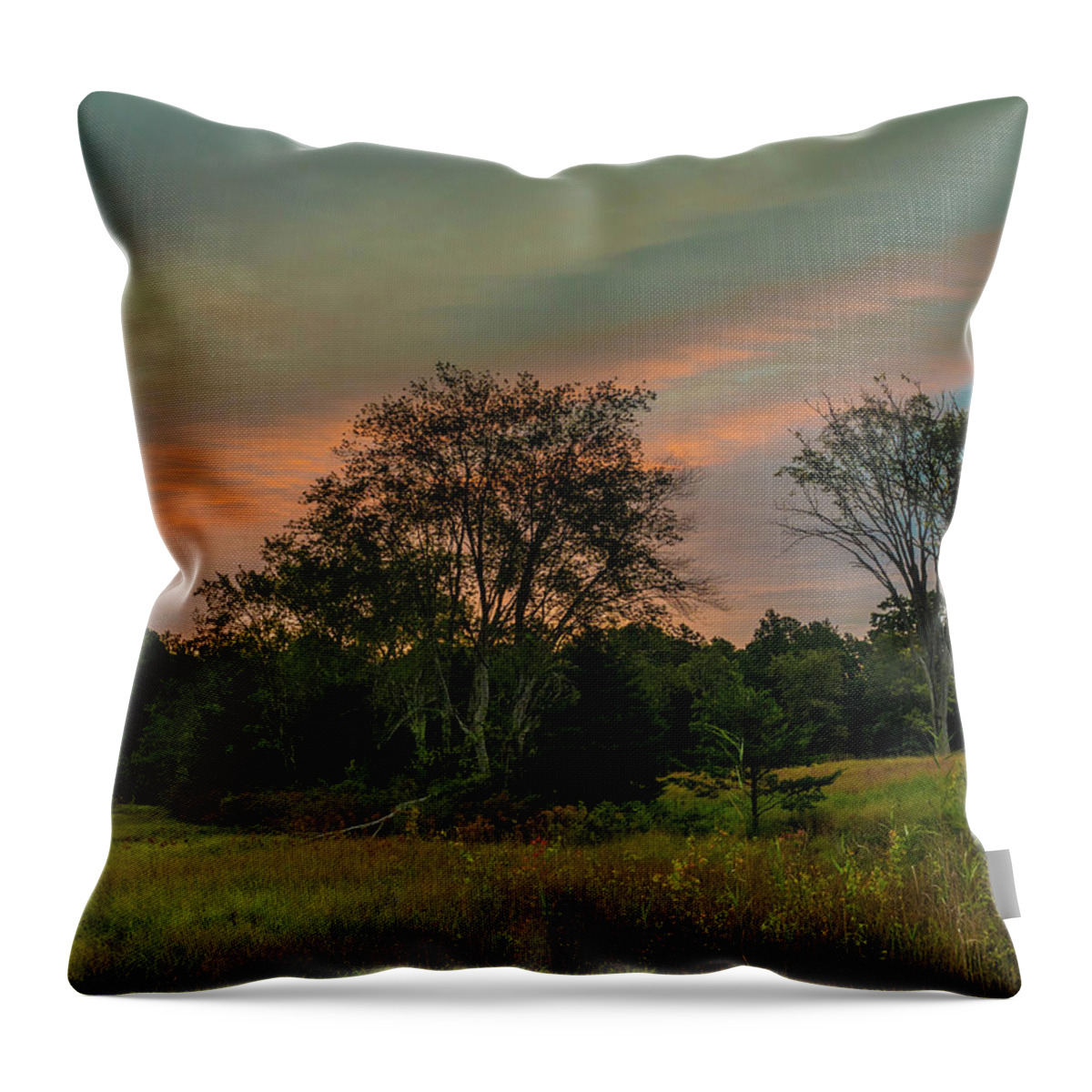 Colors Throw Pillow featuring the photograph Pine Lands in Friendship Sunrise by Louis Dallara