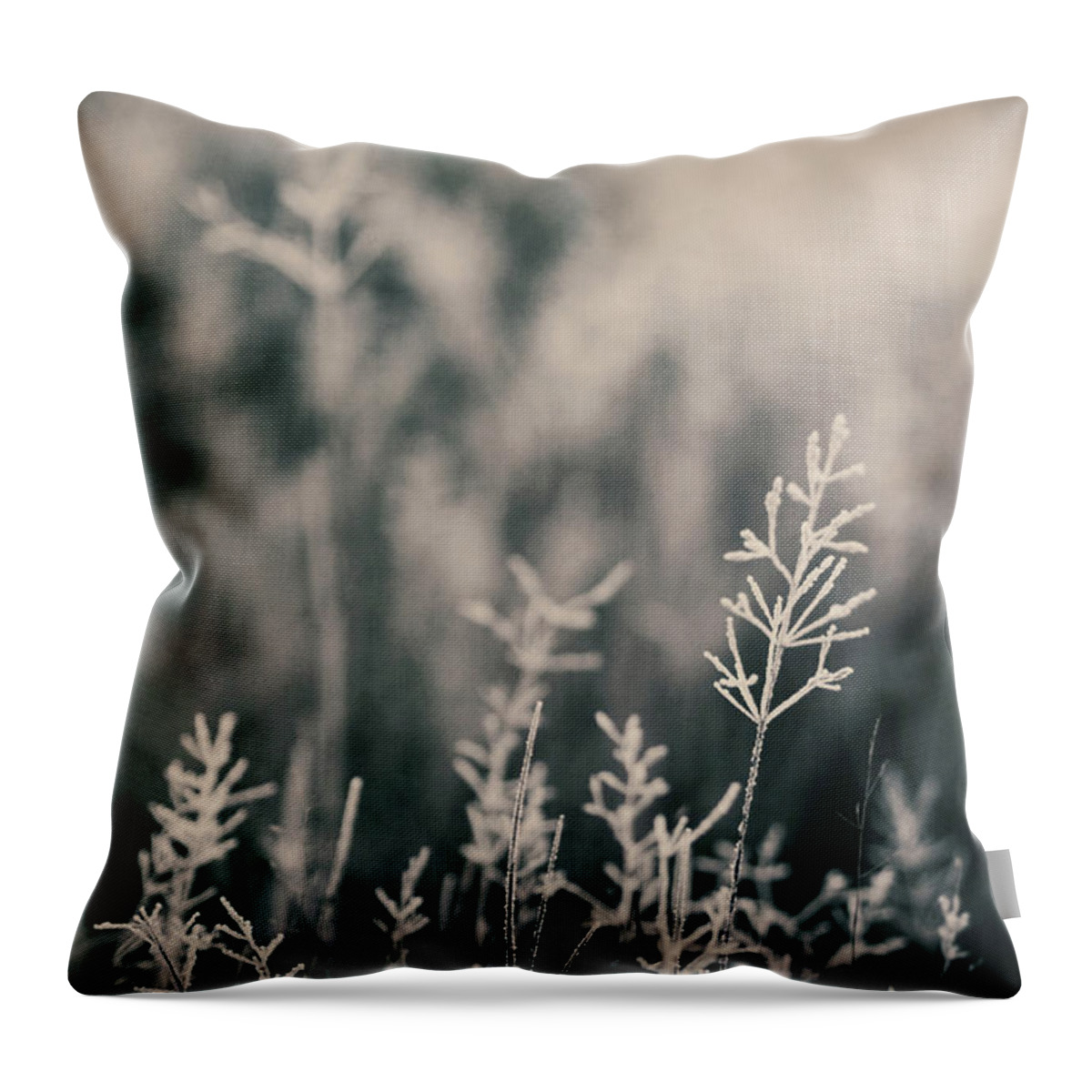 Tranquility Throw Pillow featuring the photograph Frost On Grasses, London by Kirstin Mckee