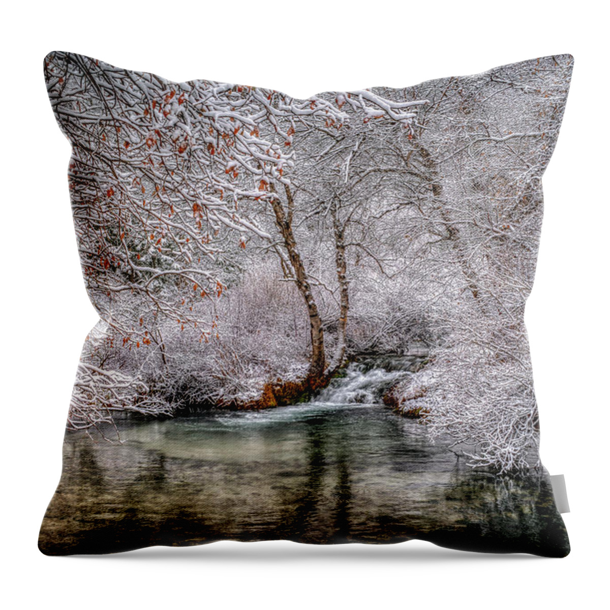 Frosty Throw Pillow featuring the photograph Frosty Pond by Fiskr Larsen