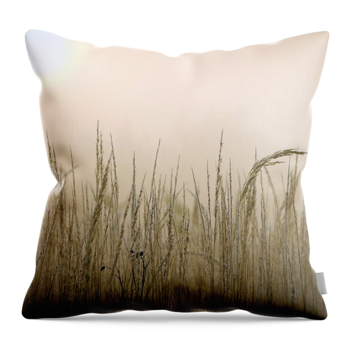 Scenics Throw Pillow featuring the photograph Frozen Grass At Hazy Morning by Alexkotlov