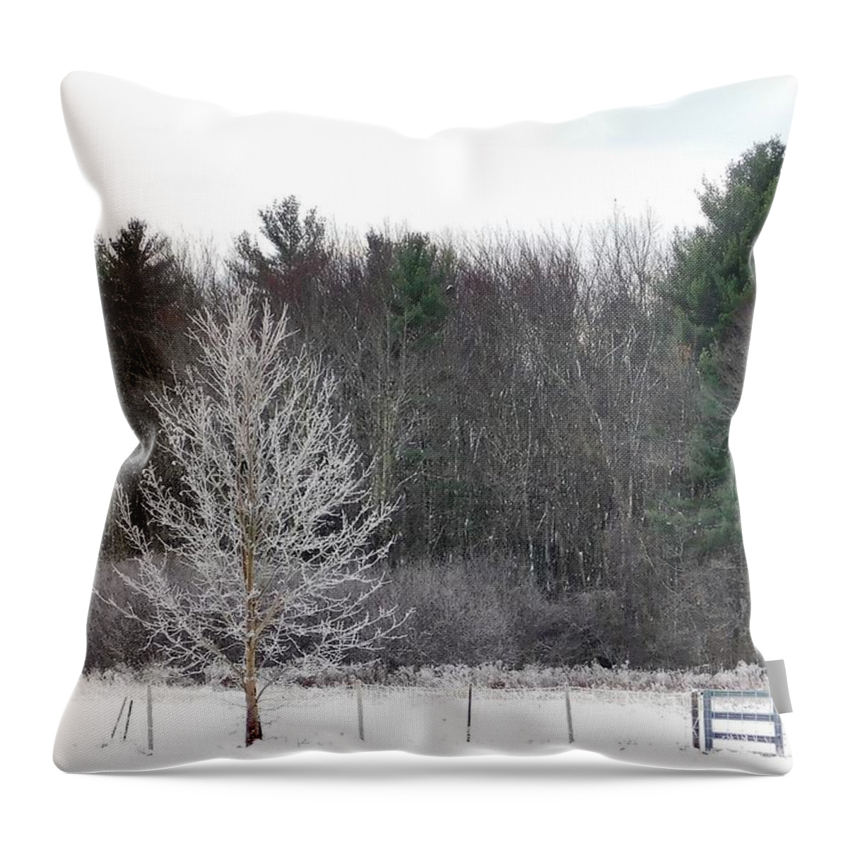 Snow Throw Pillow featuring the photograph - Frozen Tree by THERESA Nye
