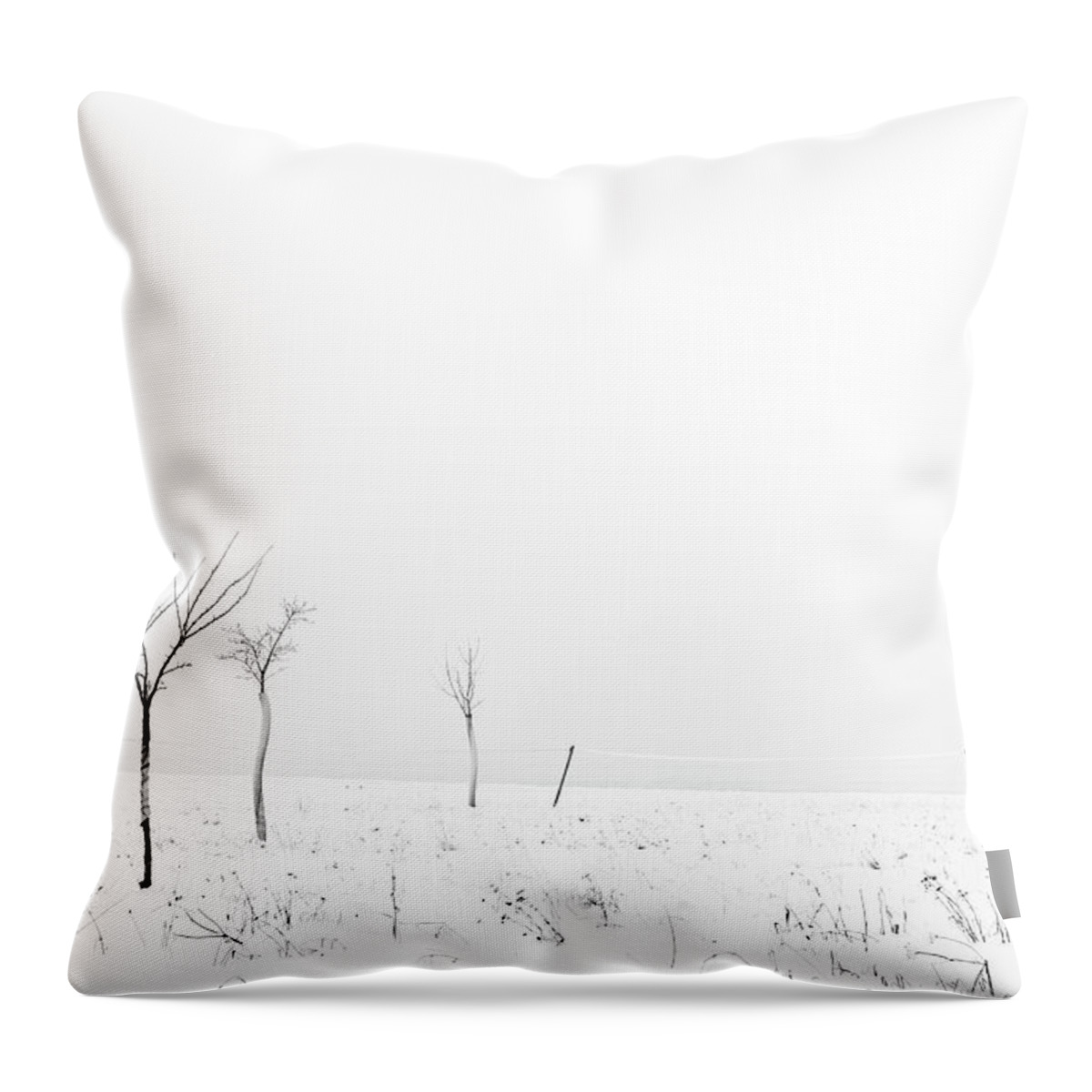 Snow Throw Pillow featuring the photograph Fruit Trees Lost In Winter Fog by Raphael Schneider