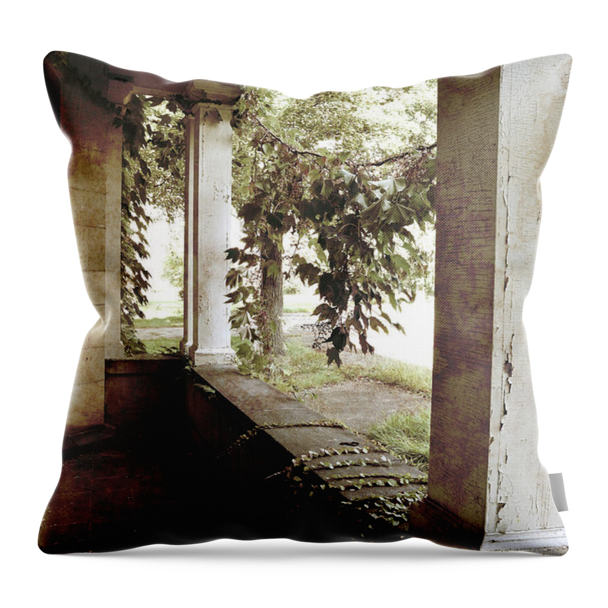Mansion Throw Pillow featuring the photograph Full of Listening by Char Szabo-Perricelli