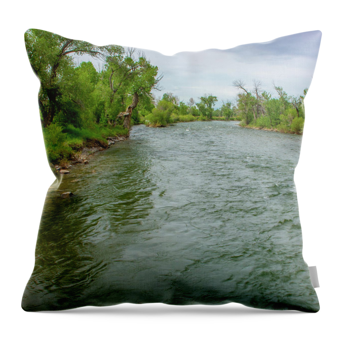 Gallatin Throw Pillow featuring the photograph Gallatin River Classic by Douglas Wielfaert