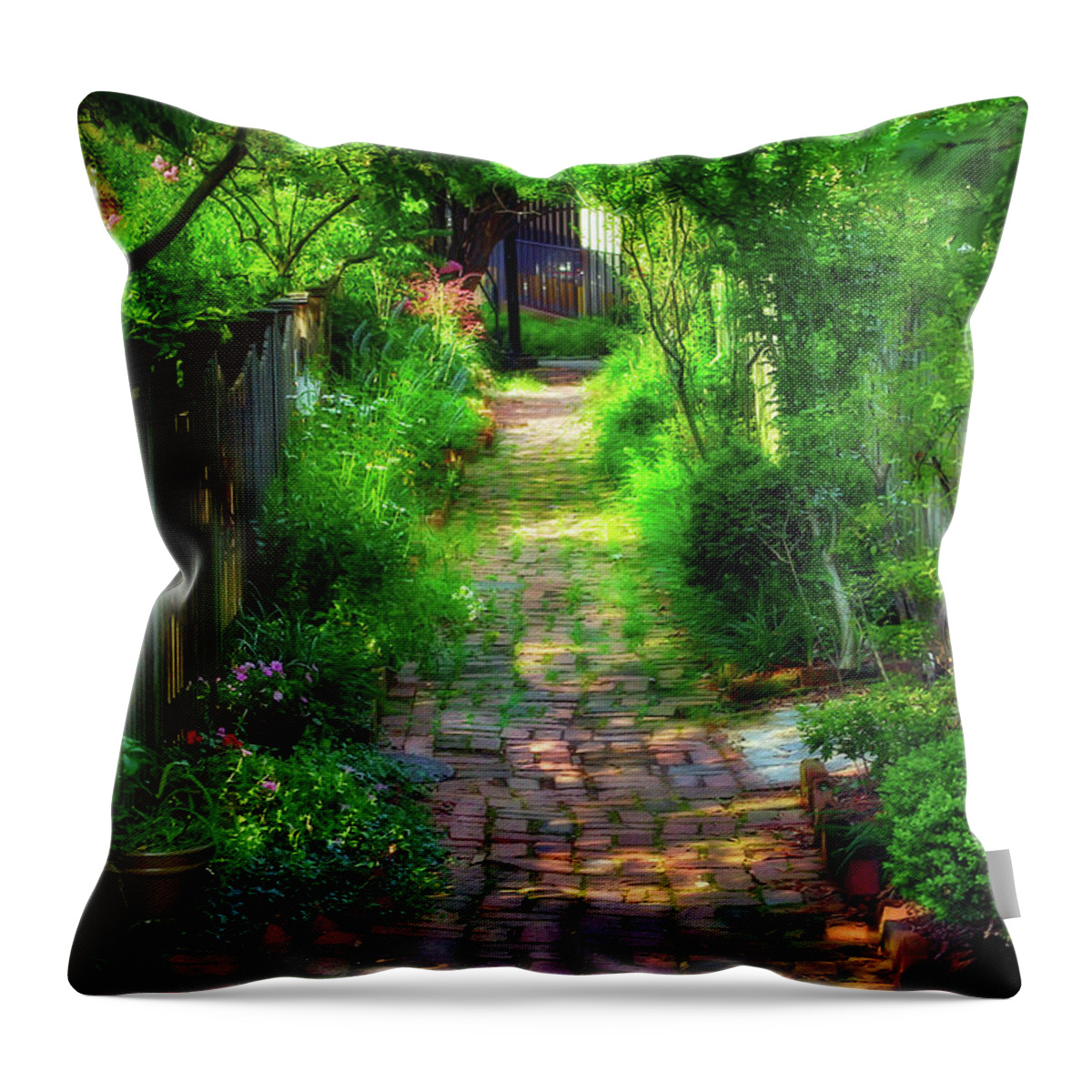 2d Throw Pillow featuring the photograph Garden Alley by Brian Wallace