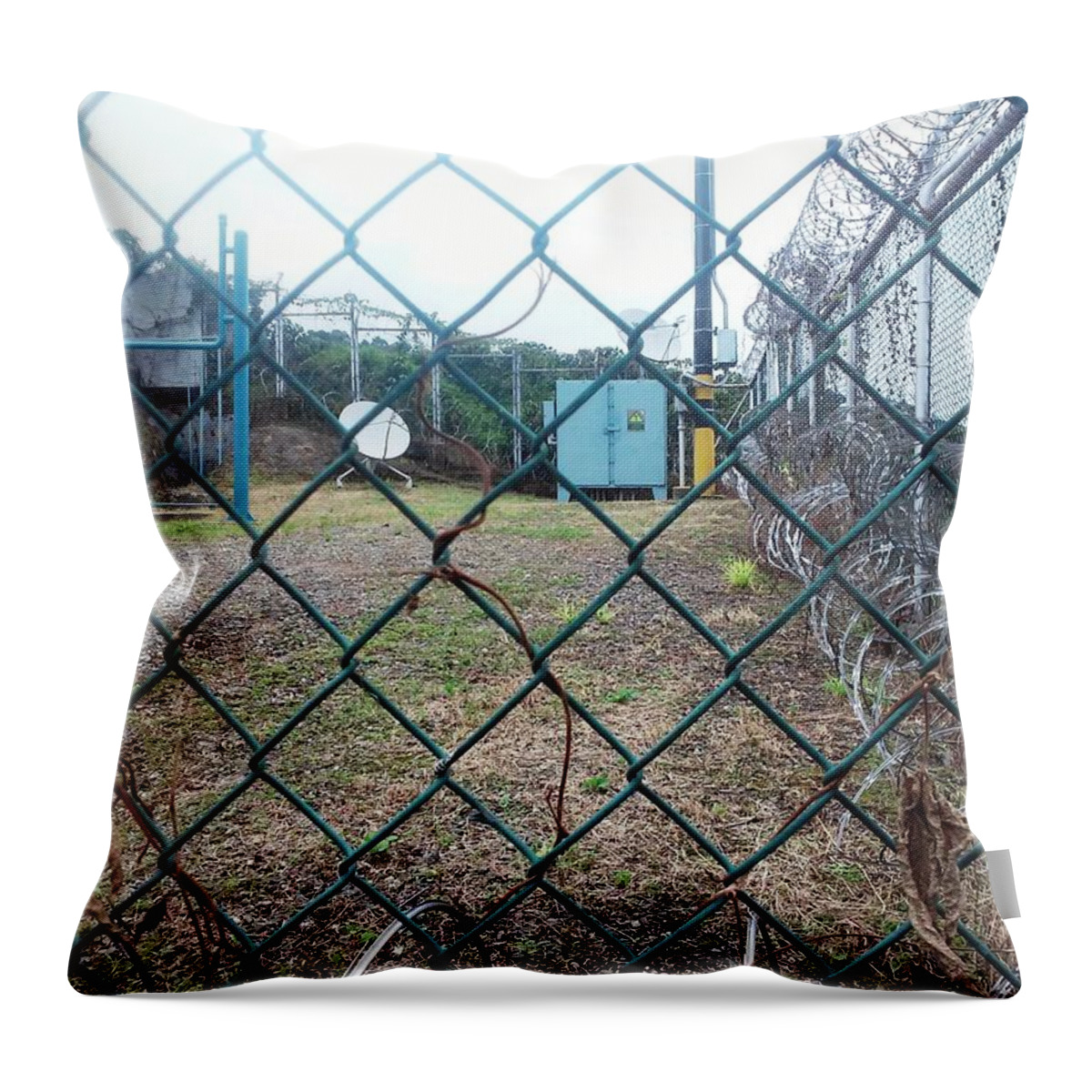  Throw Pillow featuring the photograph Gas Station Plant by Nestor Cardona Cardona