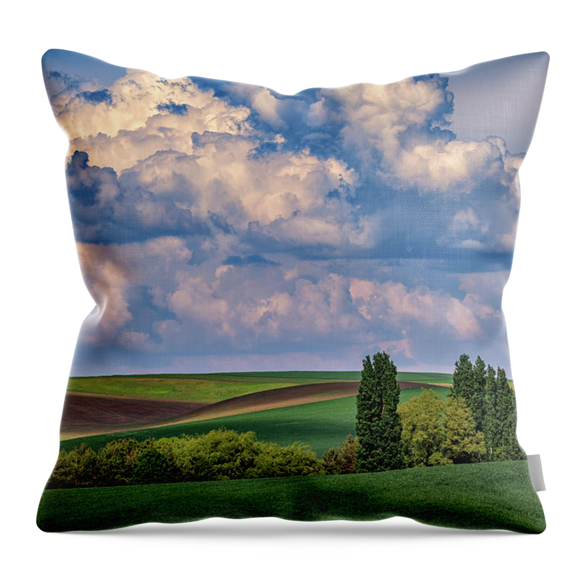 Edition Throw Pillow featuring the photograph Gathering Clouds in the Palouse by Rick Berk
