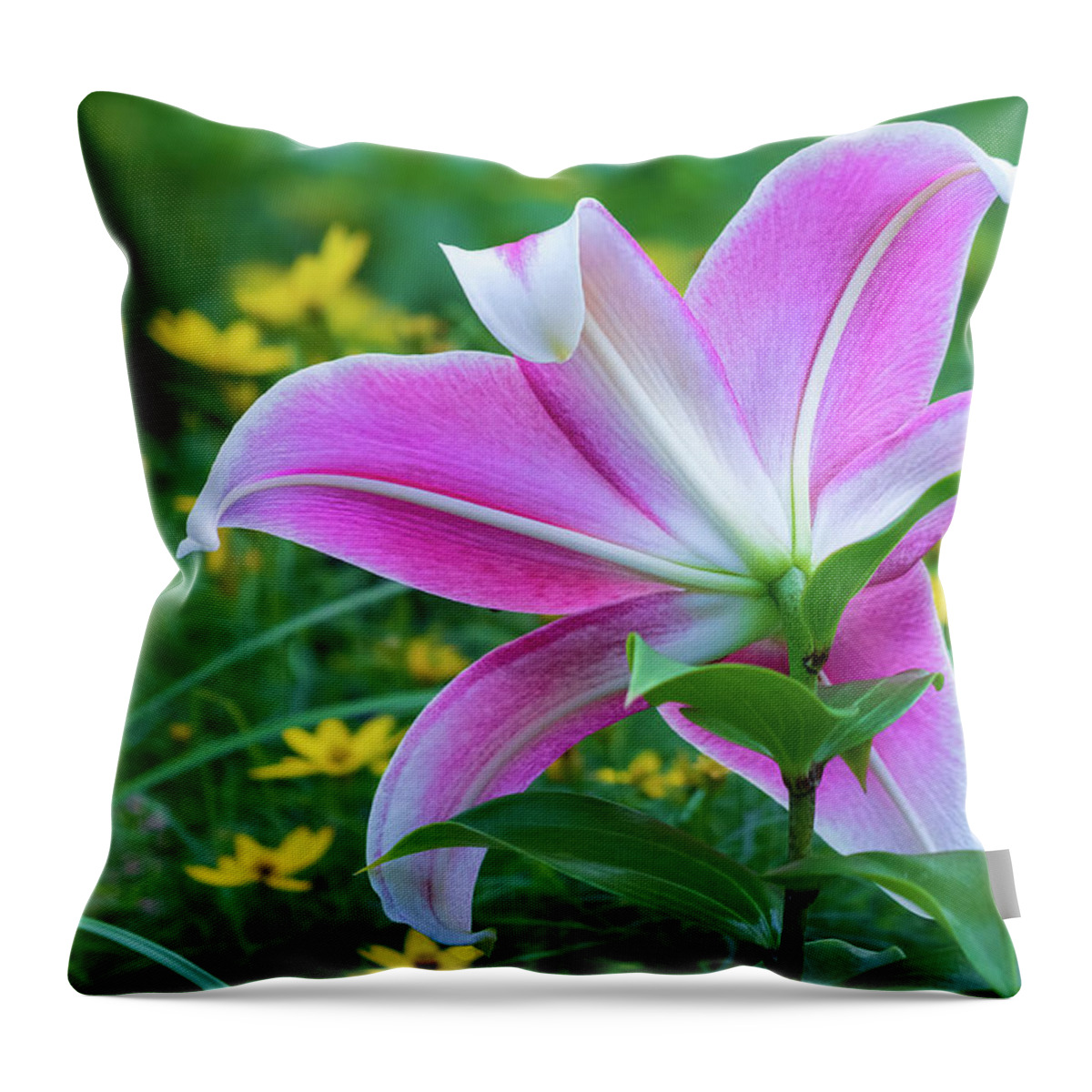 Asian Lily Throw Pillow featuring the photograph Gazing the Stars and Moonbeams by Robert FERD Frank