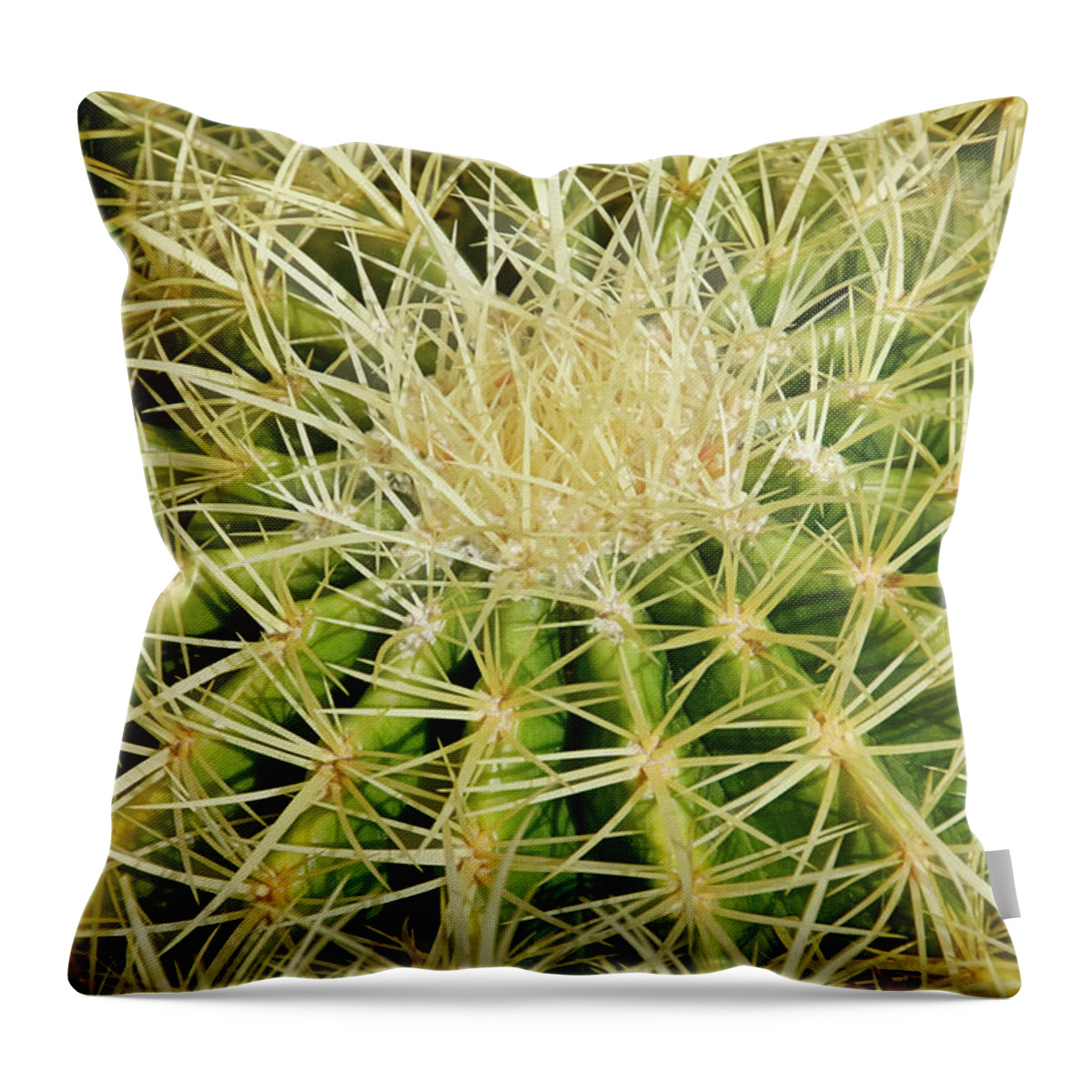 Giant Barrel Cactus Throw Pillow featuring the photograph Geometry of Spines II by Leda Robertson