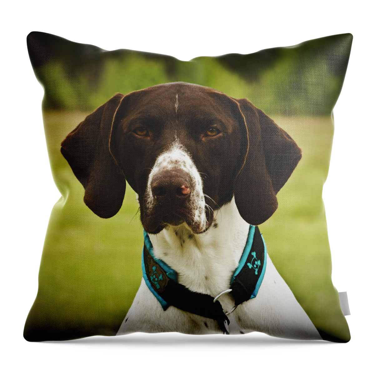 German Throw Pillow featuring the photograph German Short-Haired Pointer by Mountain Dreams