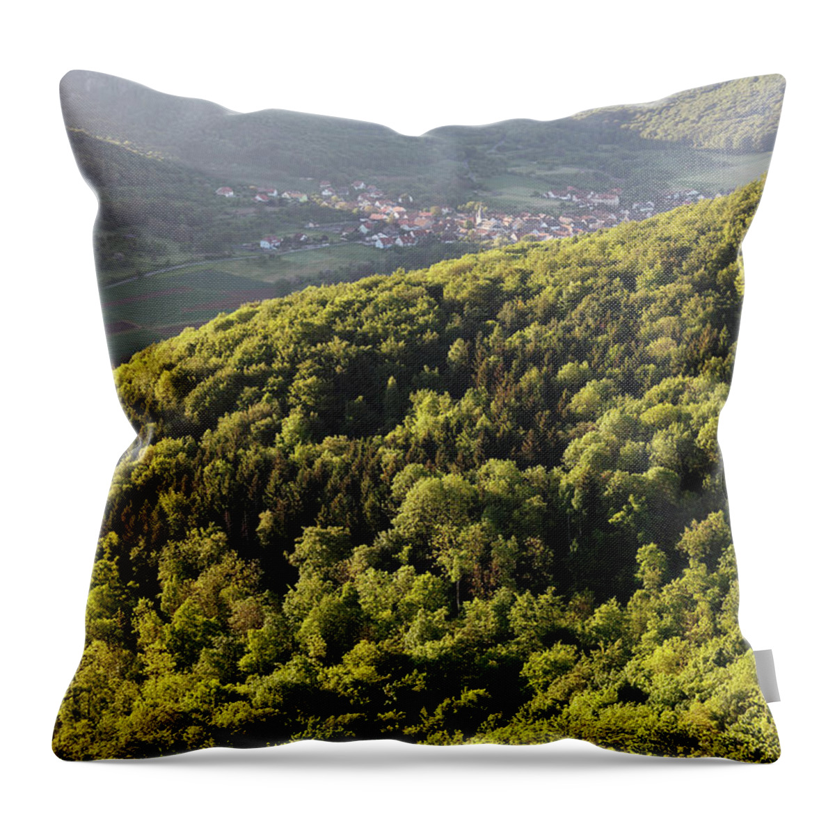 Scenics Throw Pillow featuring the photograph Germany, Bavaria, Franconia, Franconian by Westend61