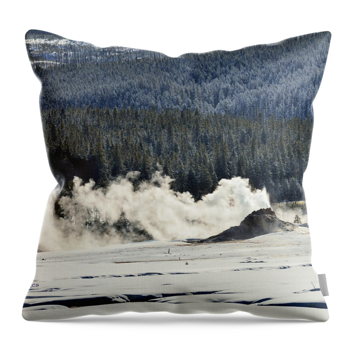 Geyser Throw Pillow featuring the photograph Geyser With Steam and Snow by Kae Cheatham