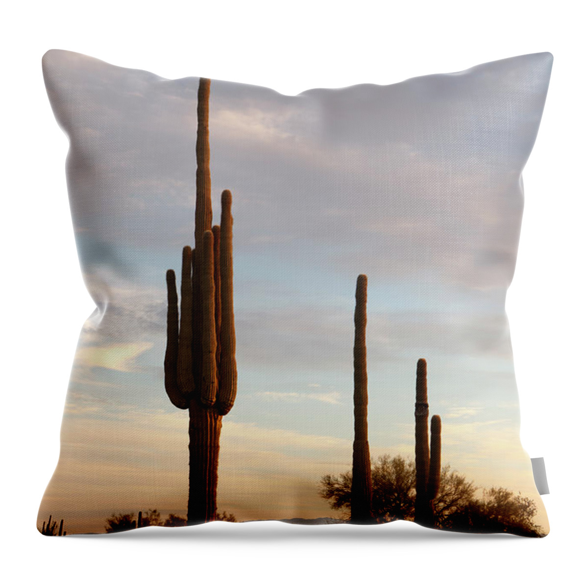 Saguaro Cactus Throw Pillow featuring the photograph Giant Saguaros by Dustypixel