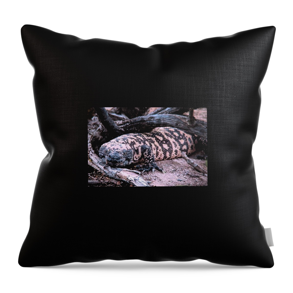 Animals Throw Pillow featuring the photograph Gila Monster Under Creosote Bush by Judy Kennedy