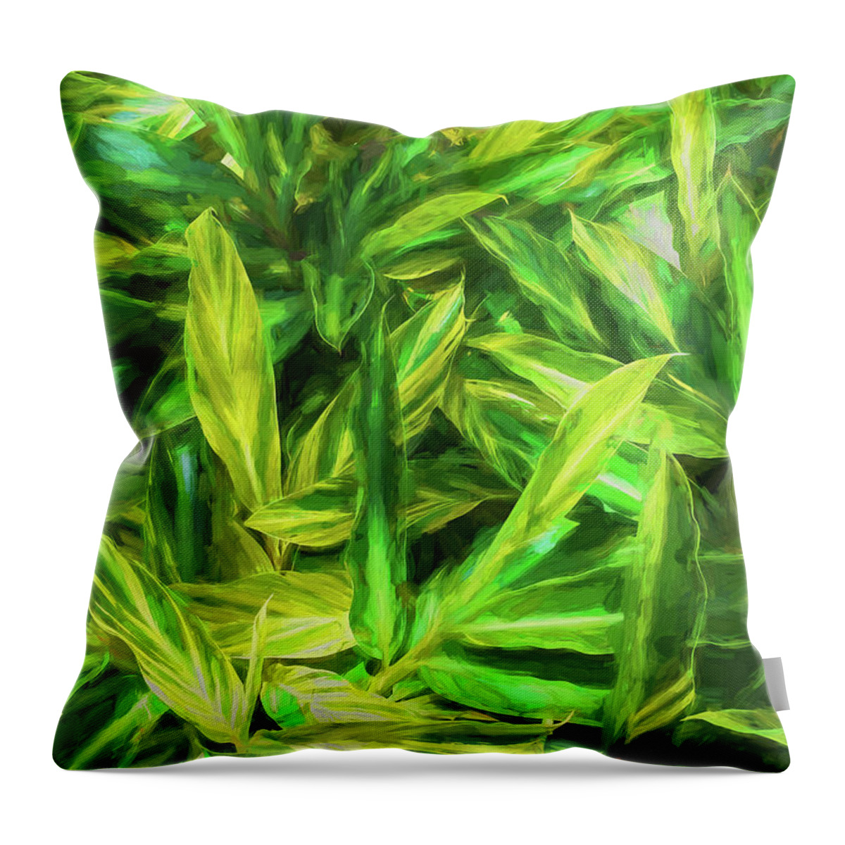 Ginger Alpinia Throw Pillow featuring the photograph Ginger Alpinia 100 by Rich Franco