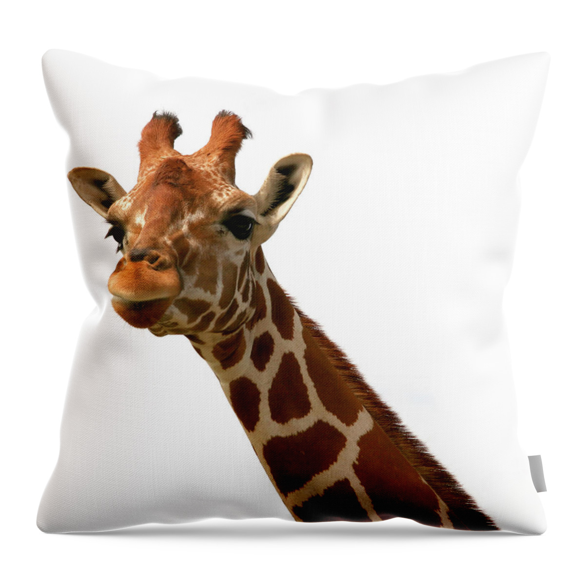 Animal Nose Throw Pillow featuring the photograph Giraffe 1 by Jane
