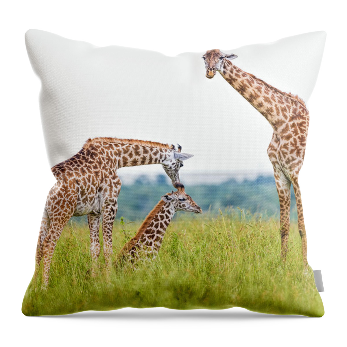 Eco Tourism Throw Pillow featuring the photograph Giraffe Family by 1001slide