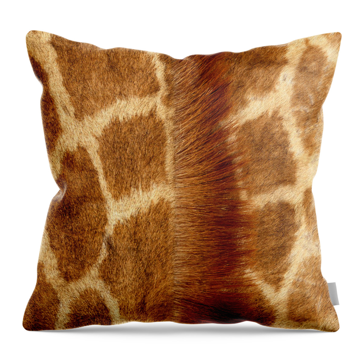 Animal Themes Throw Pillow featuring the photograph Giraffe Fur by Siede Preis