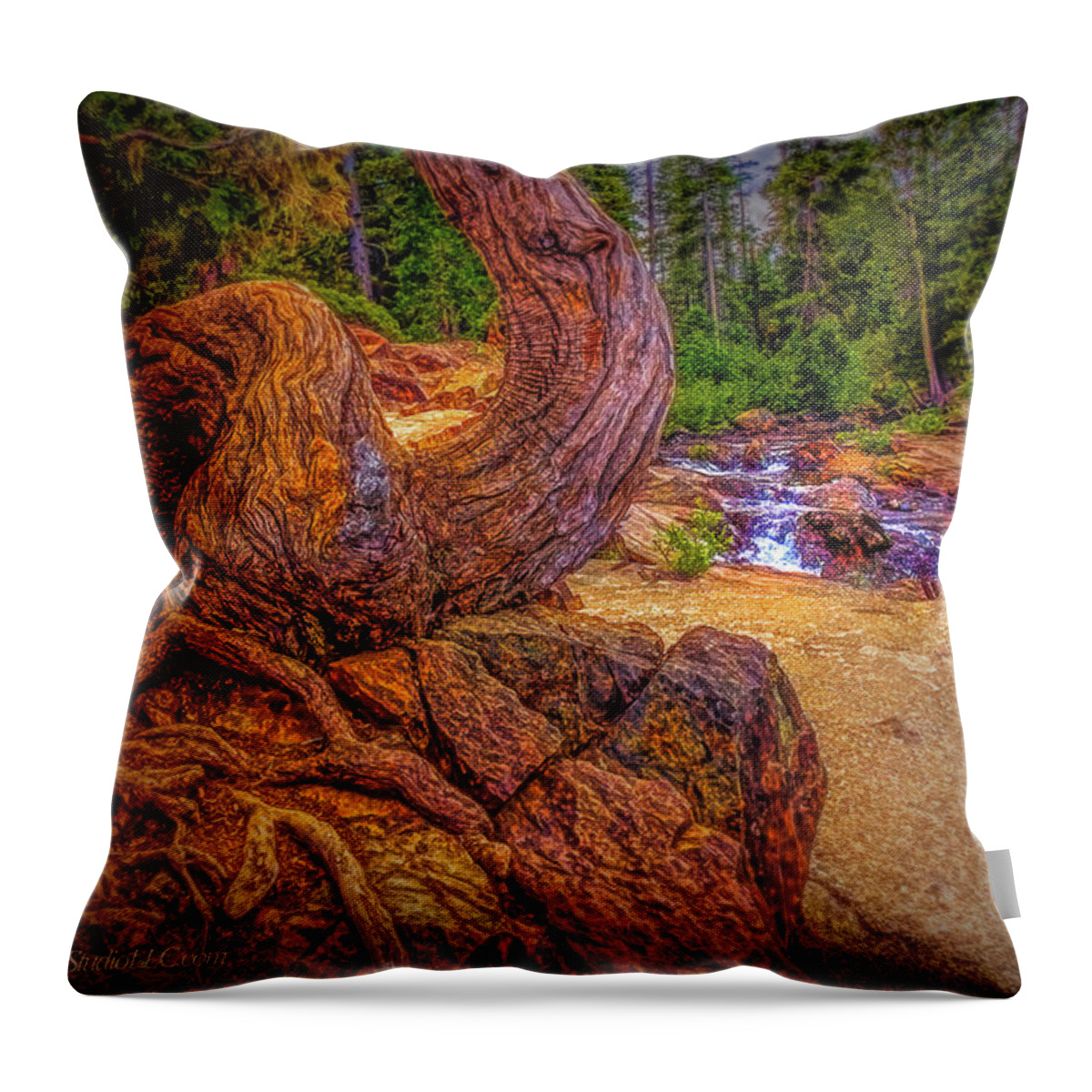 Water Throw Pillow featuring the photograph Glen Alpine Falls by LeeAnn McLaneGoetz McLaneGoetzStudioLLCcom