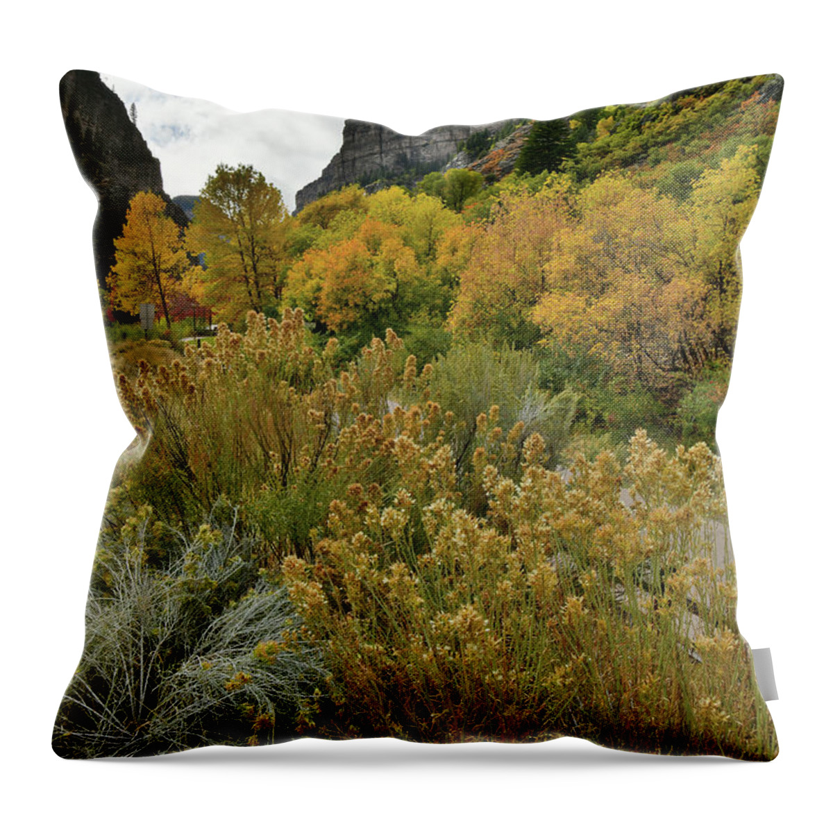  Throw Pillow featuring the photograph Glenwood Canyon Fall Colors at Hanging Lake Exit by Ray Mathis